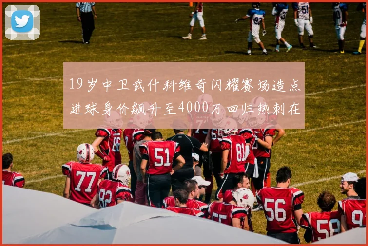 19岁中卫武什科维奇闪耀赛场造点进球身价飙升至4000万回归热刺在即
